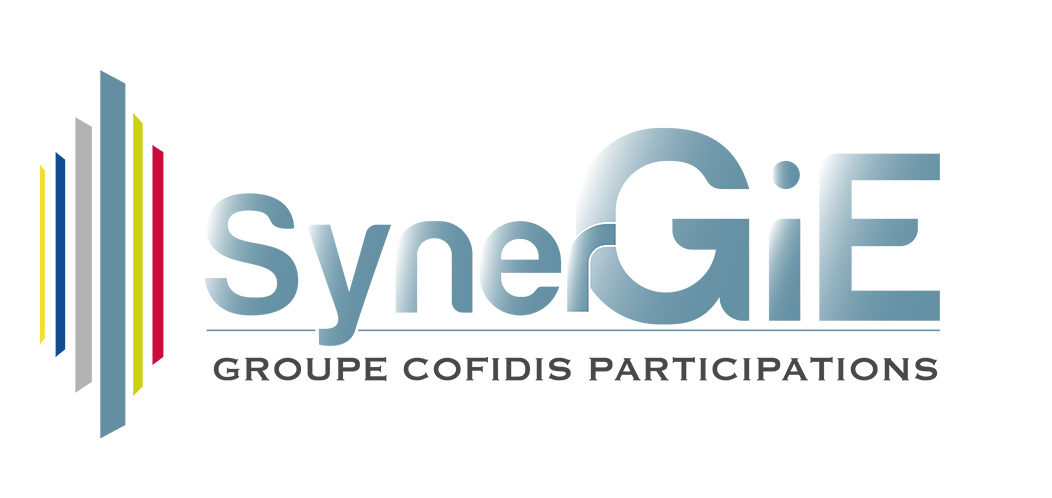 SynerGie